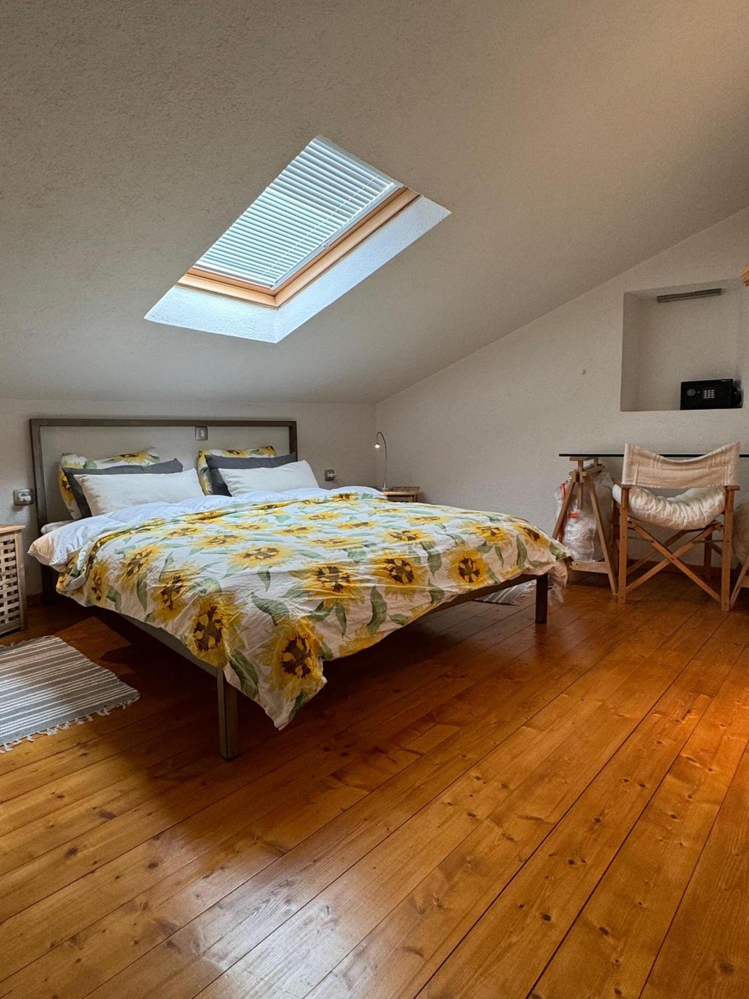 Apartmán Kate'S Townhouse Buzet Exteriér fotografie